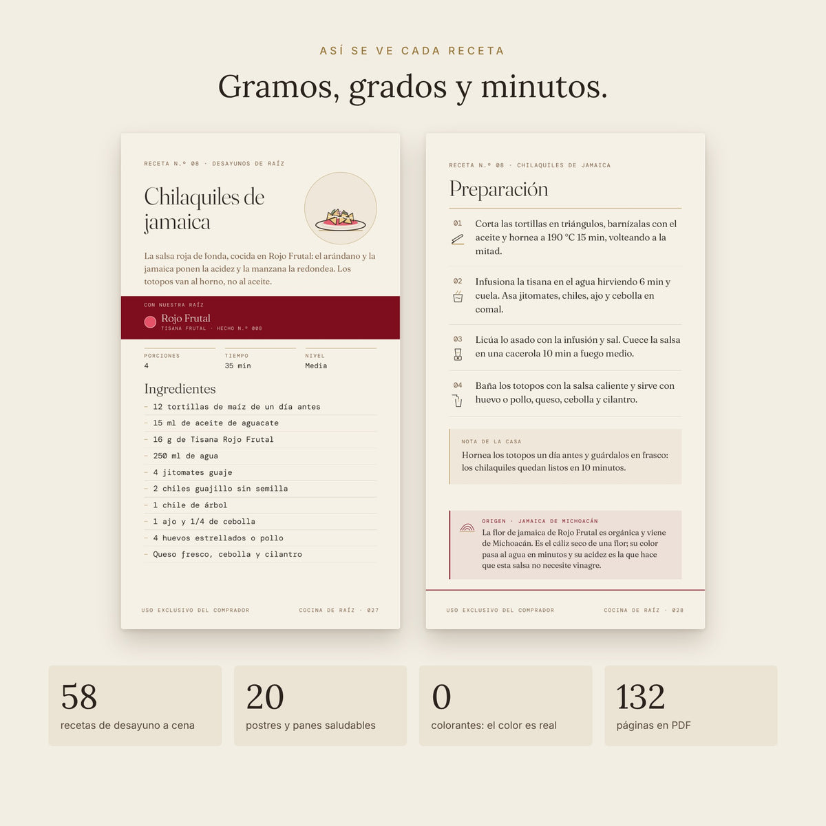 Recetario Cocina de Raíz