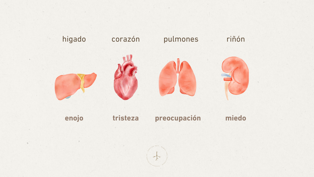 Dime de qué te enfermas y te diré qué emoción no has resuelto