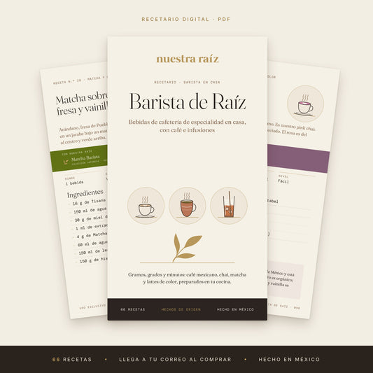 Recetario Barista de Raíz