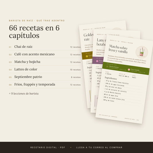 Recetario Barista de Raíz