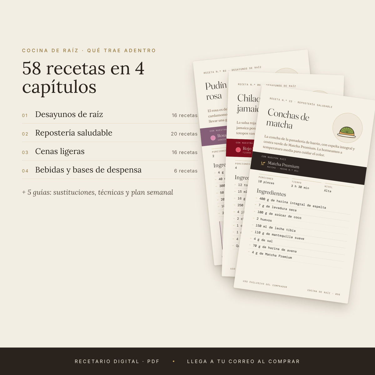 Recetario Cocina de Raíz