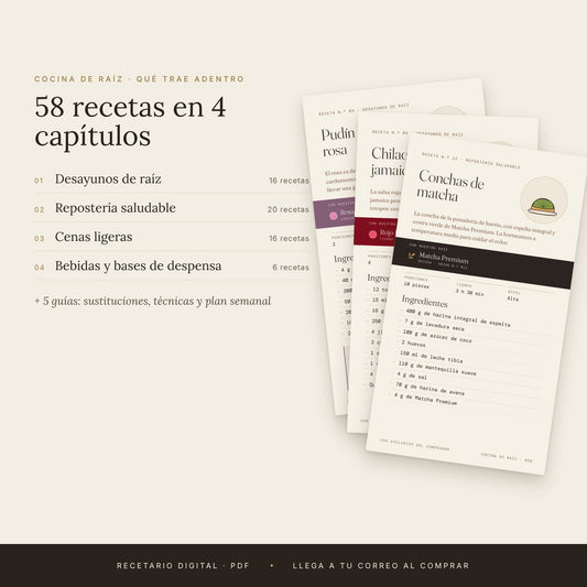 Recetario Cocina de Raíz